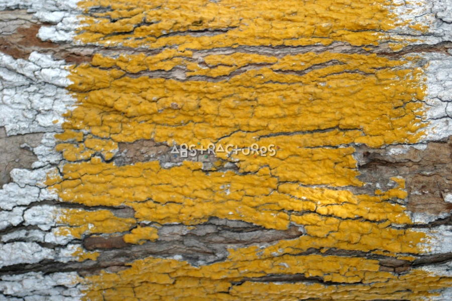 Yellow Painted Wooden Abstract Texture — photographic texture 17 — 39