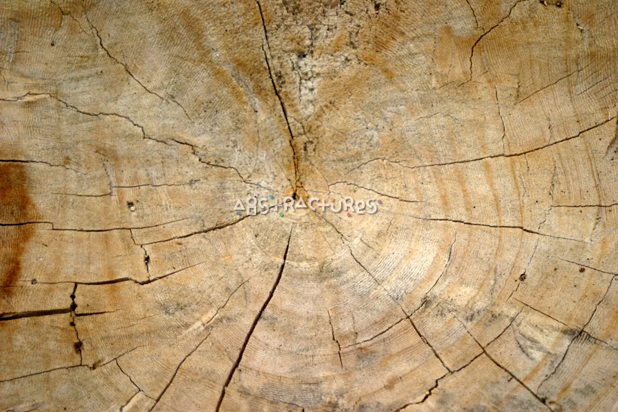 Tan Wood Grain Abstract Texture — photographic texture 15 — 32