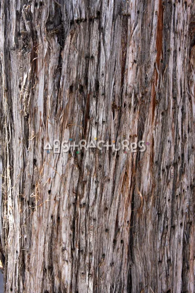 Wood Abstract Texture Background Image — photographic texture 41 — 34