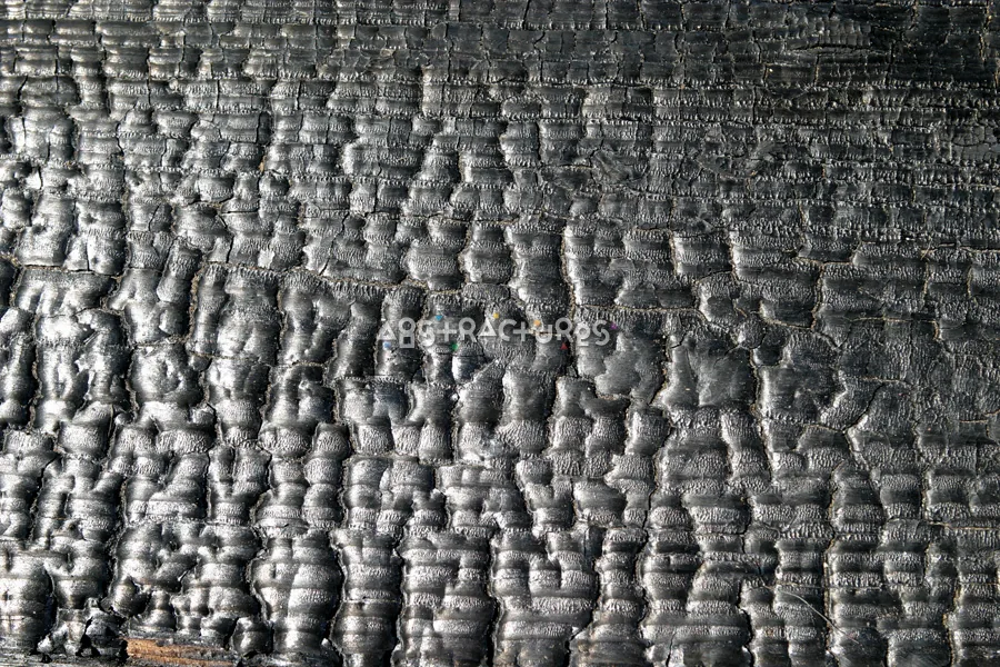 Charred Silver Wood Abstract Texture — photographic texture 11 — 36
