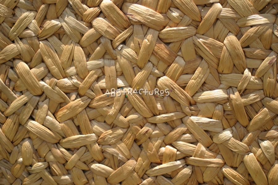 Palm Wood Abstract Texture Background — photographic texture 16 — 01