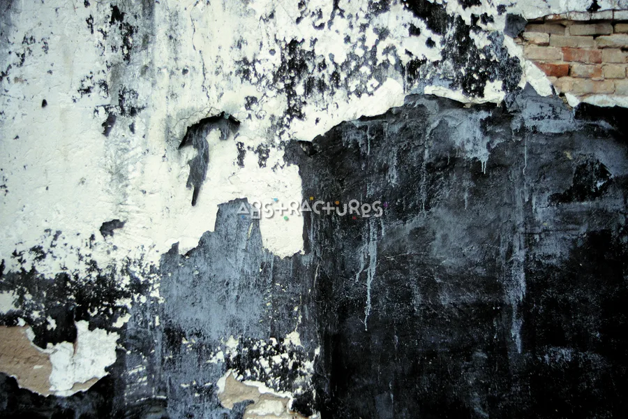 Black White Cement Texture Image — photographic texture 04 — 31