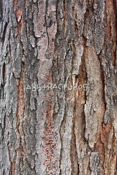 Wood Bark Abstract Texture Background — photographic texture 43 — 23