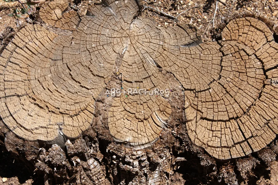 Wood Abstract Texture Background Image — photographic texture 41 — 15