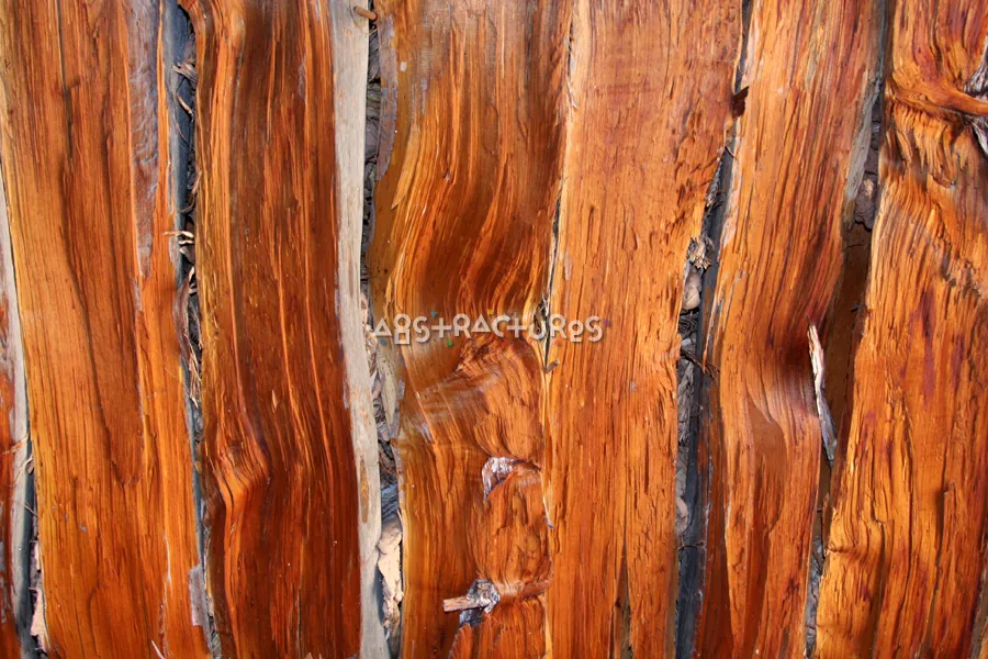Wood Abstract Texture Background Image — photographic texture 40 — 02
