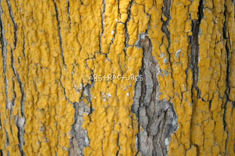 Yellow Painted Bark Background Image — photographic texture 05 — 12