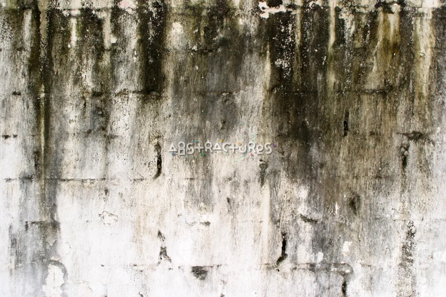 Black White Brick Wall Texture — photographic texture 02 — 33