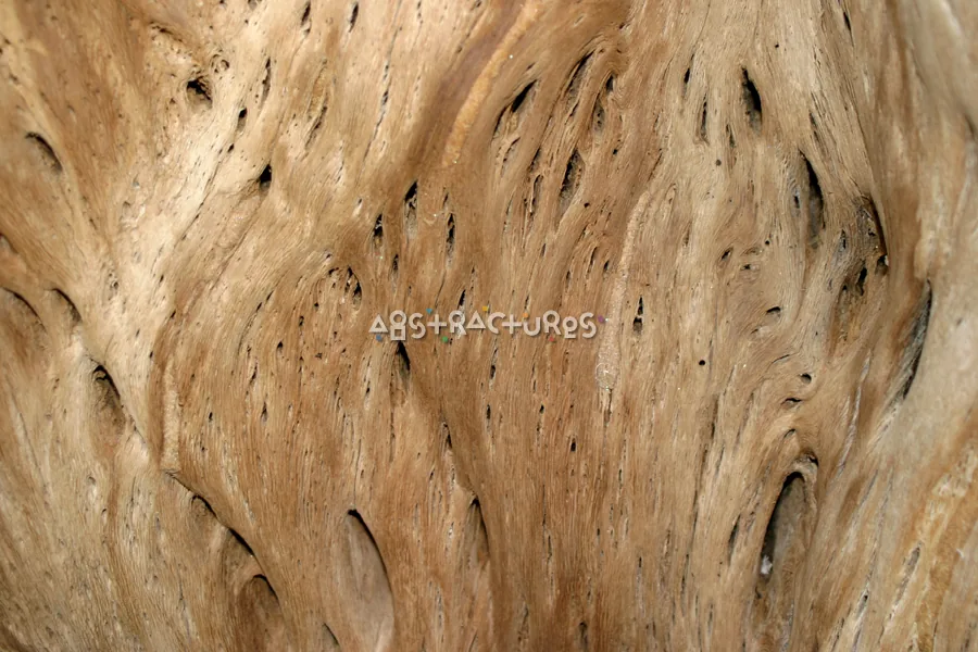 Wood Grain Abstract Texture Background — photographic texture 15 — 18