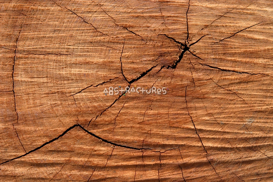 Redwood Abstract Texture Background Image — photographic texture 16 — 02