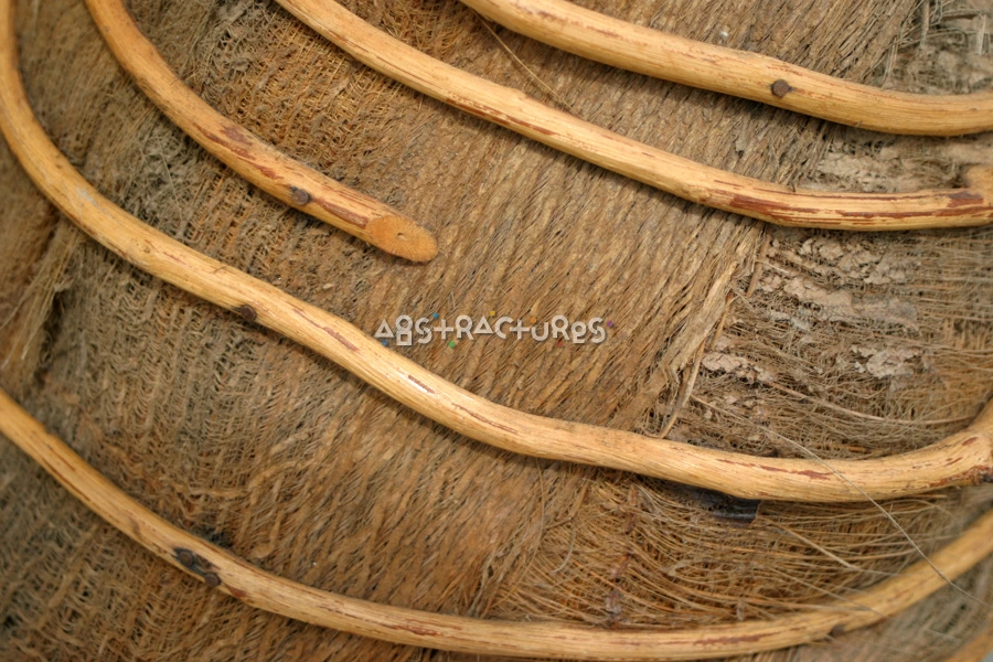 Artistic Tropical Wood Abstract Texture — photographic texture 16 — 31