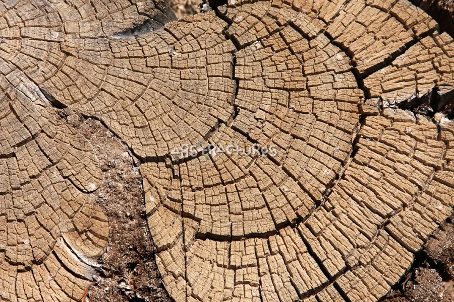 Wood Abstract Texture Background Image — photographic texture 41 — 40