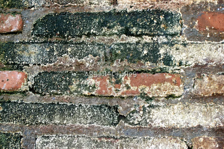 Old Brick Wall Texture Image — photographic texture 19 — 29
