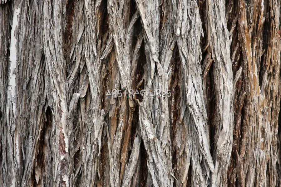 Wood Bark Abstract Texture Background — photographic texture 43 — 30