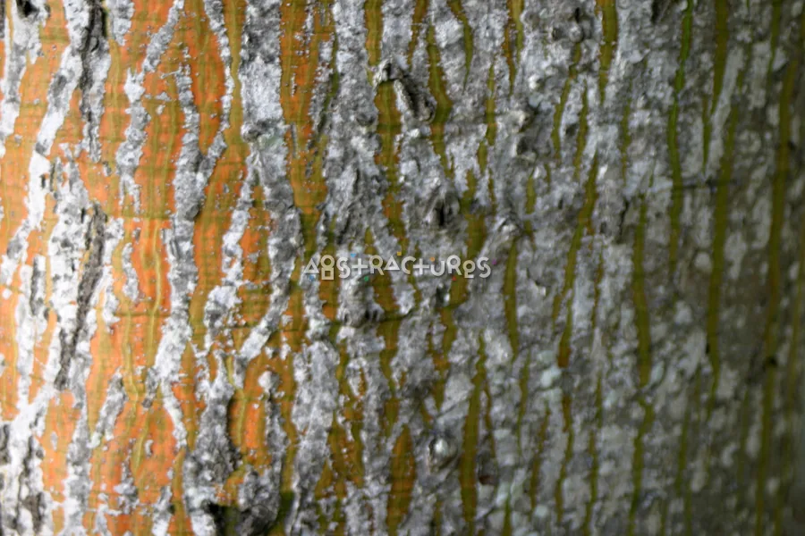 Tree Bark Abstract Texture Background — photographic texture 15 — 11