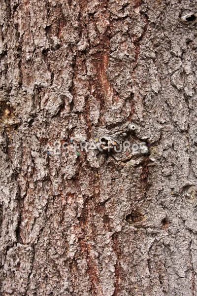 Wood Bark Abstract Texture Background — photographic texture 44 — 05