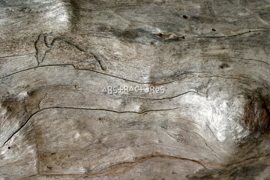 Wood Grain Abstract Texture Background — photographic texture 15 — 14