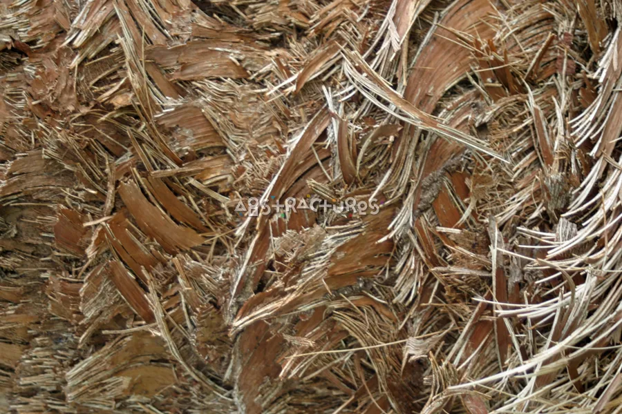 Palm Tree Background Texture Image — photographic texture 05 — 06