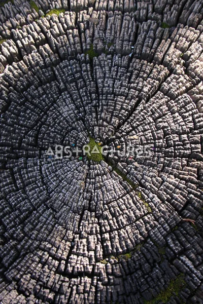 Wood Abstract Texture Background Image — photographic texture 41 — 19