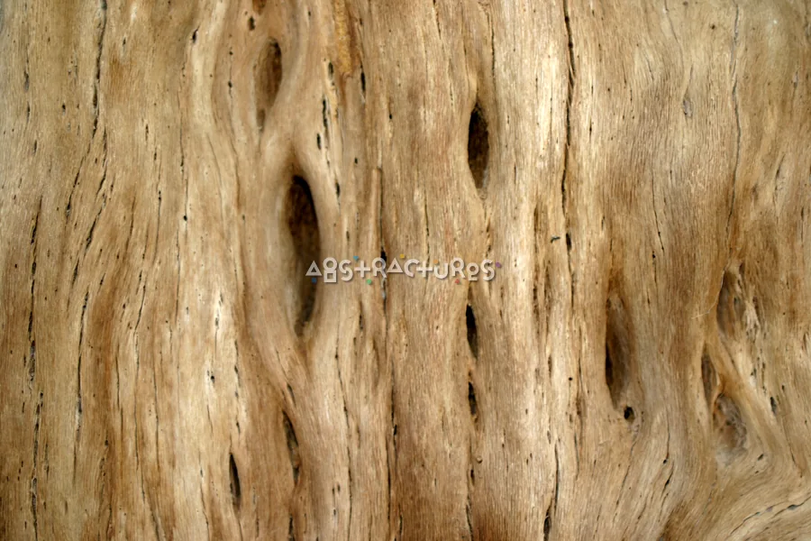 Tan Wood Abstract Texture Backgound — photographic texture 15 — 03