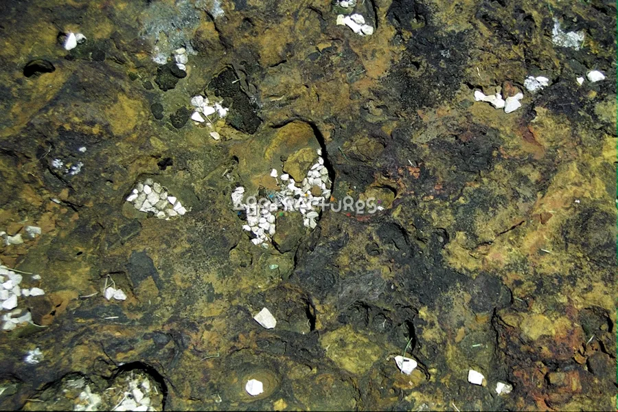 Black Brown Stone Texture Image — photographic texture 04 — 40