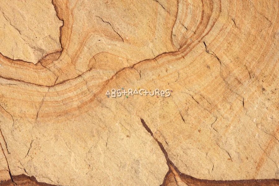 Petrified Wood Golden Stone Texture — photographic texture 35 — 18